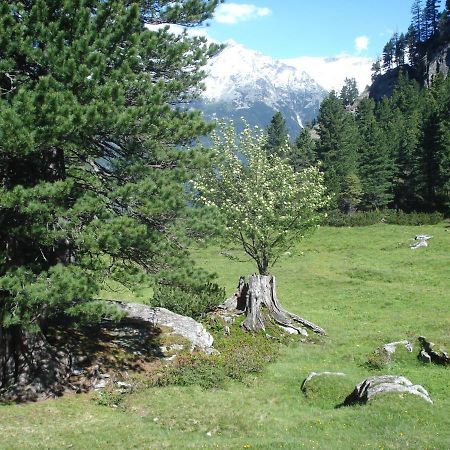 Hotel Gastehaus Rieser Ried im Zillertal Exteriér fotografie