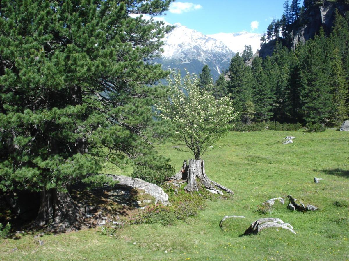 Hotel Gastehaus Rieser Ried im Zillertal Exteriér fotografie